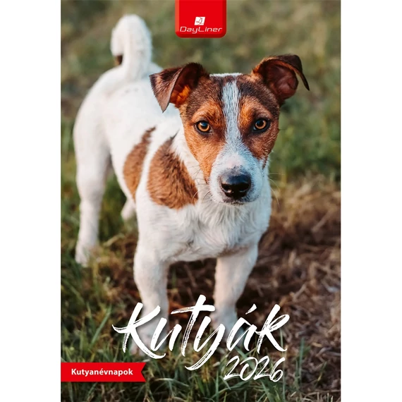 Falinaptár képes 230 x 330 mm, fehér lapokkal Kutyák Dayliner 2026.