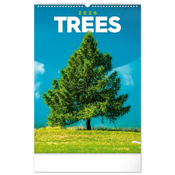 Falinaptár képes  330×460mm Trees  Realsystem 2026.