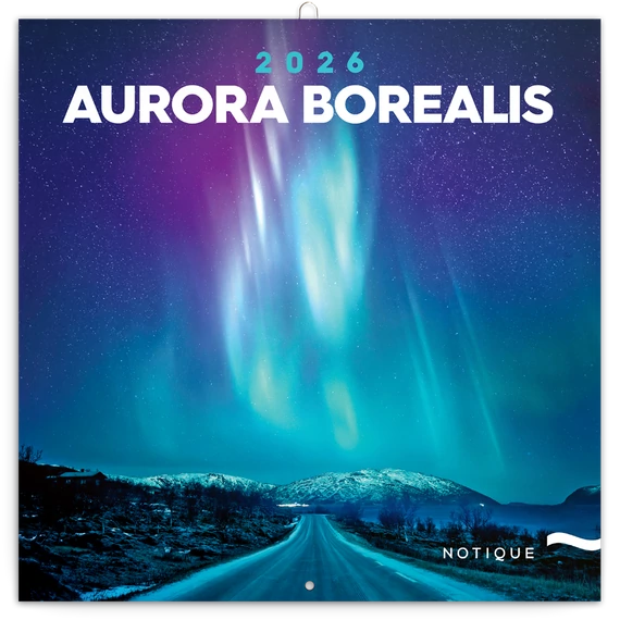 Falinaptár képes lemeznaptár 300x300mm, Aurora Borealis Realsystem 2026.