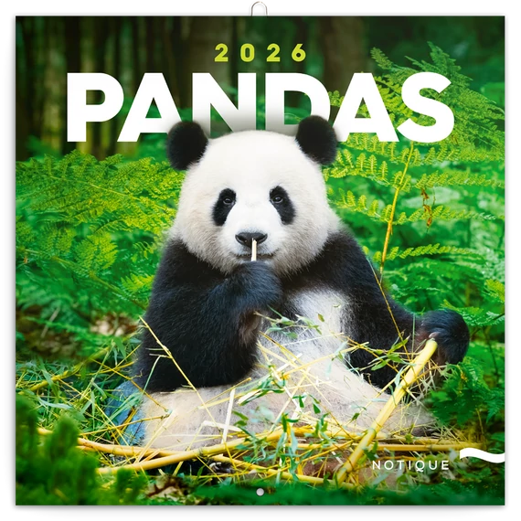 Falinaptár képes lemeznaptár 300x300mm, Pandas Realsystem 2026.
