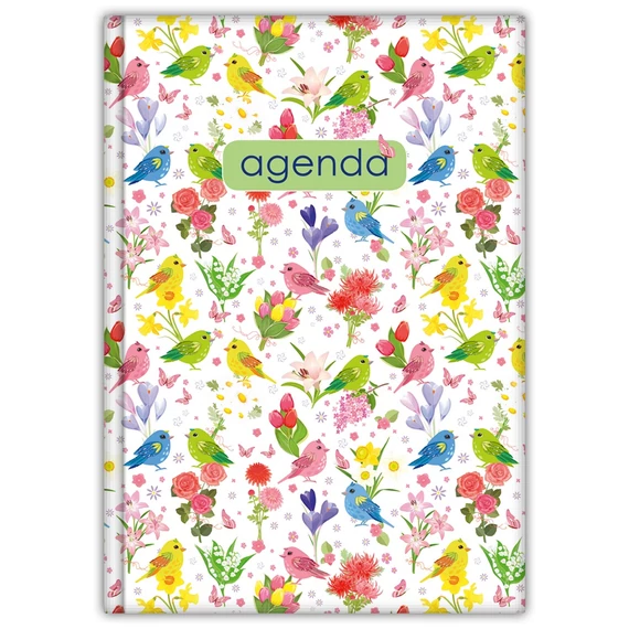 Határidőnapló Colors A5 heti, fehér lapokkal Nature zöld Dayliner 2026.