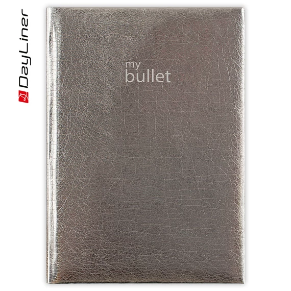 Keménytáblás notesz pontozott vonalozással Mirror A5 Bullet, fehér lapokkal ezüst Dayliner 2026.