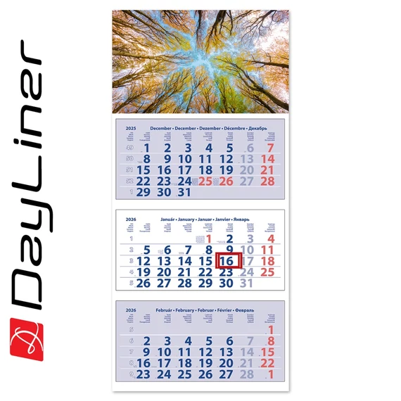 Speditőr naptár 3 tömb, 3 hónap Maxi Club 350 × 820 mm, fehér lapokkal Erdő Dayliner 2026.