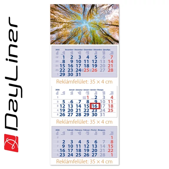 Speditőr naptár 3 tömb, 3 hónap Medium Club 350 × 755 mm, fehér lapokkal Erdő Dayliner 2026.