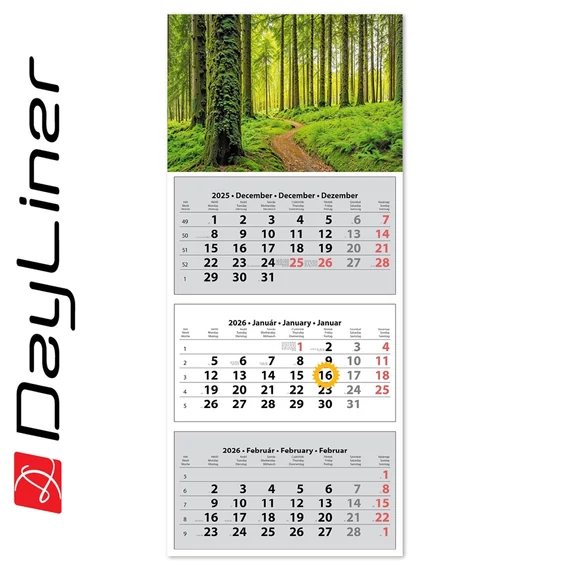 Speditőr naptár 3 tömb, 3 hónap SP-30 330 × 760 mm, fehér lapokkal Erdő Dayliner 2026.
