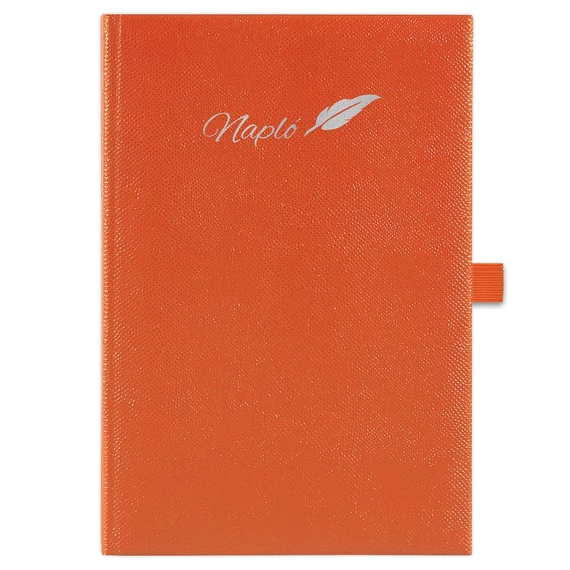 Tárgyalási napló Chameleon A5 napló, fehér lapokkal narancs Dayliner 2026.