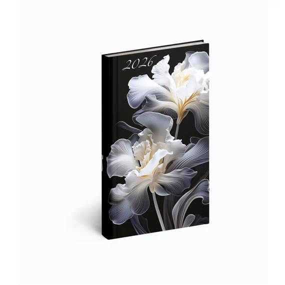 Zsebnaptár álló Picture, fehér lapokkal írisz Realsystem 2026.