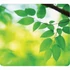 Kép 1/2 - Egérpad, újrahasznosított, Fellowes® Earth Series, levelek